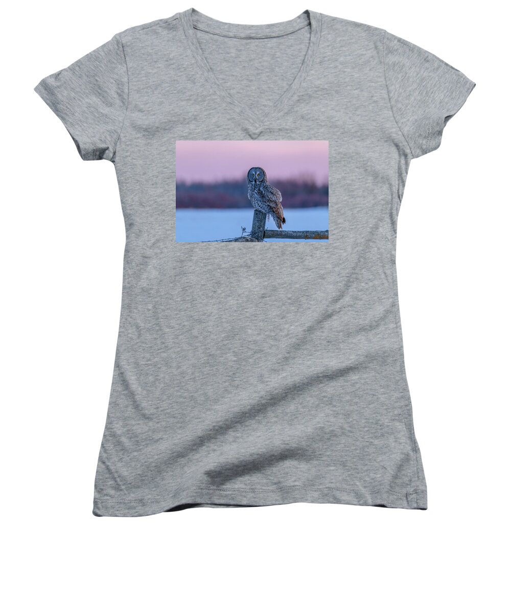 Great Grey Women's V-Neck featuring the photograph Beautiful Hunter On The Fence by Yeates Photography