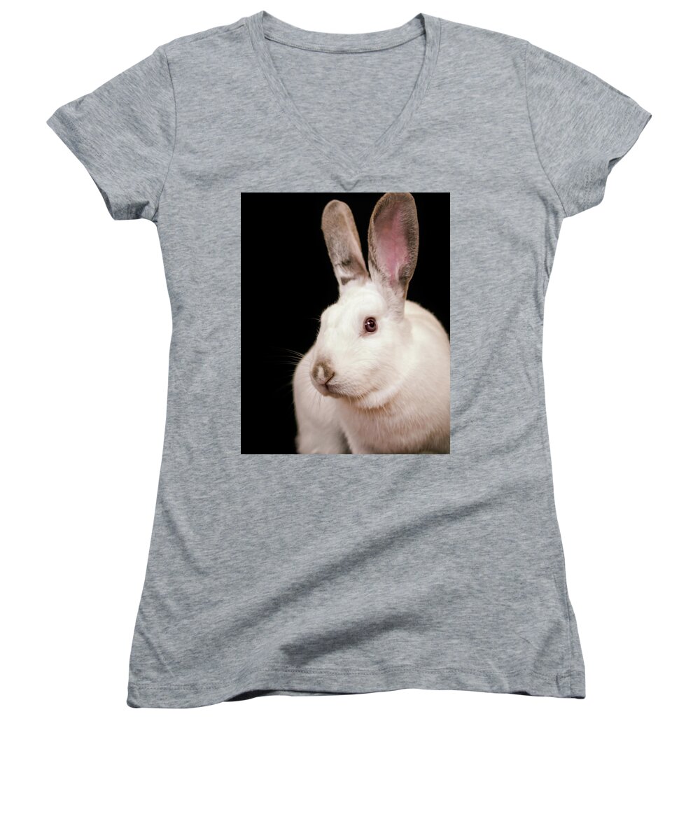 Bunny Women's V-Neck featuring the photograph Birdie by Jeanette Fellows