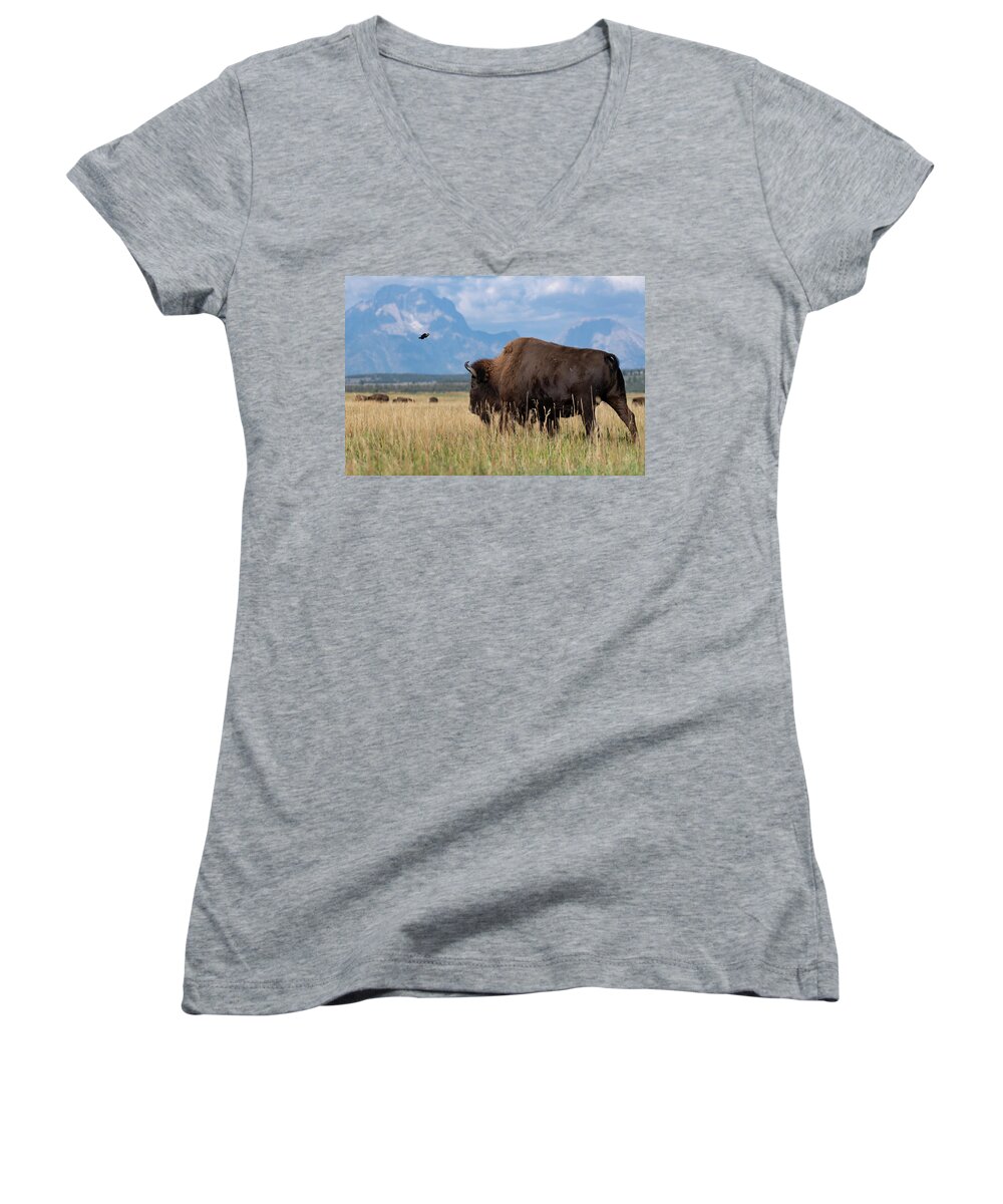 Bison Women's V-Neck featuring the photograph Bison and Mt. Moran by Mary Hone