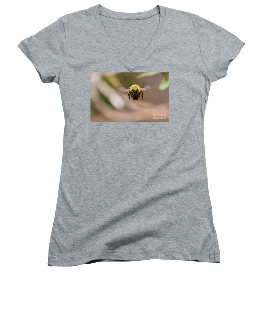 Carpenter Bee Women's V-Neck featuring the photograph Carpenter Bee Flying by Eva Lechner