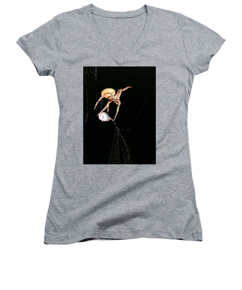 Spider Women's V-Neck featuring the photograph Cocooning the Victim by Kristin Elmquist