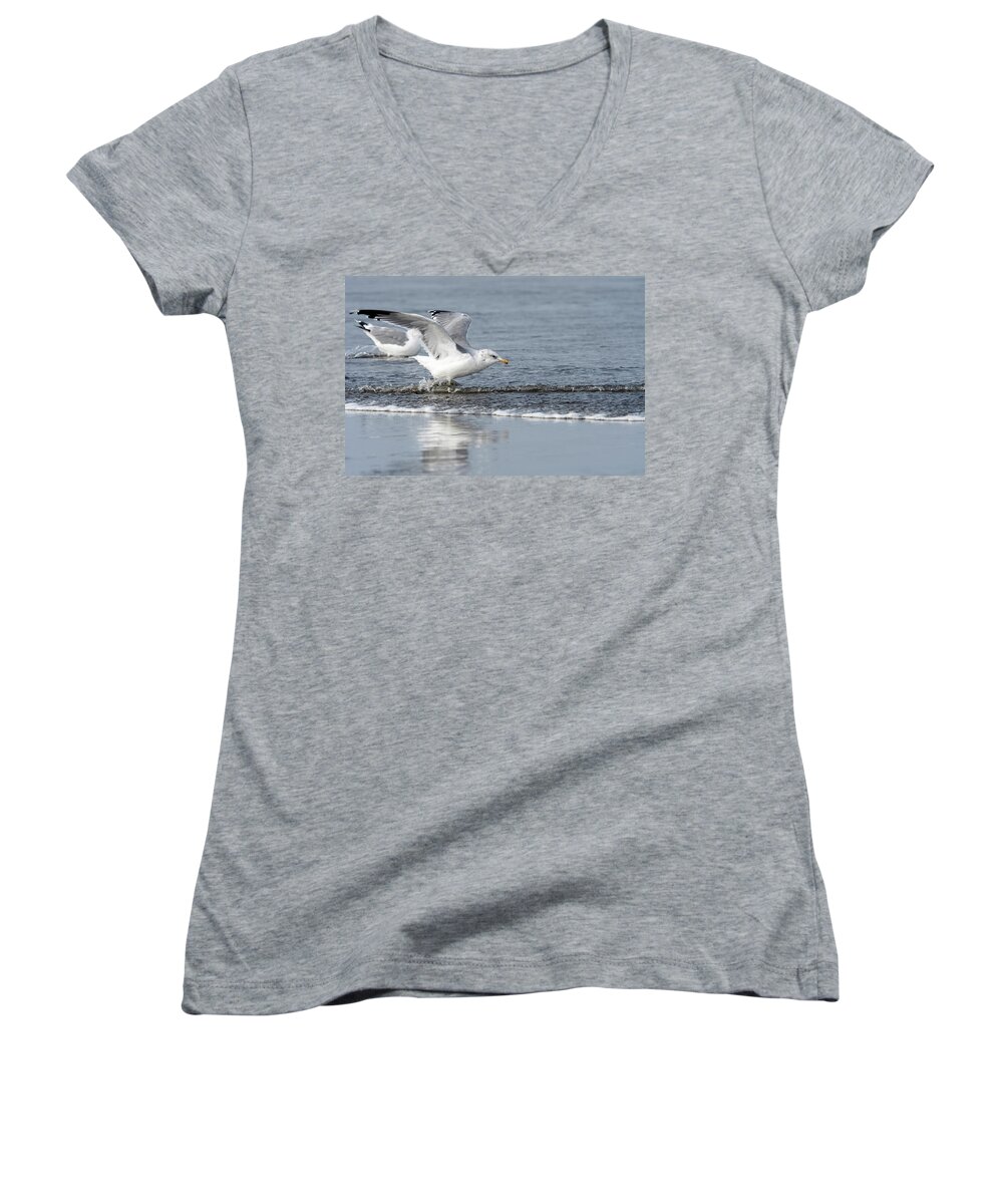 Adult Plumage Women's V-Neck featuring the photograph Dodging Waves by Robert Potts