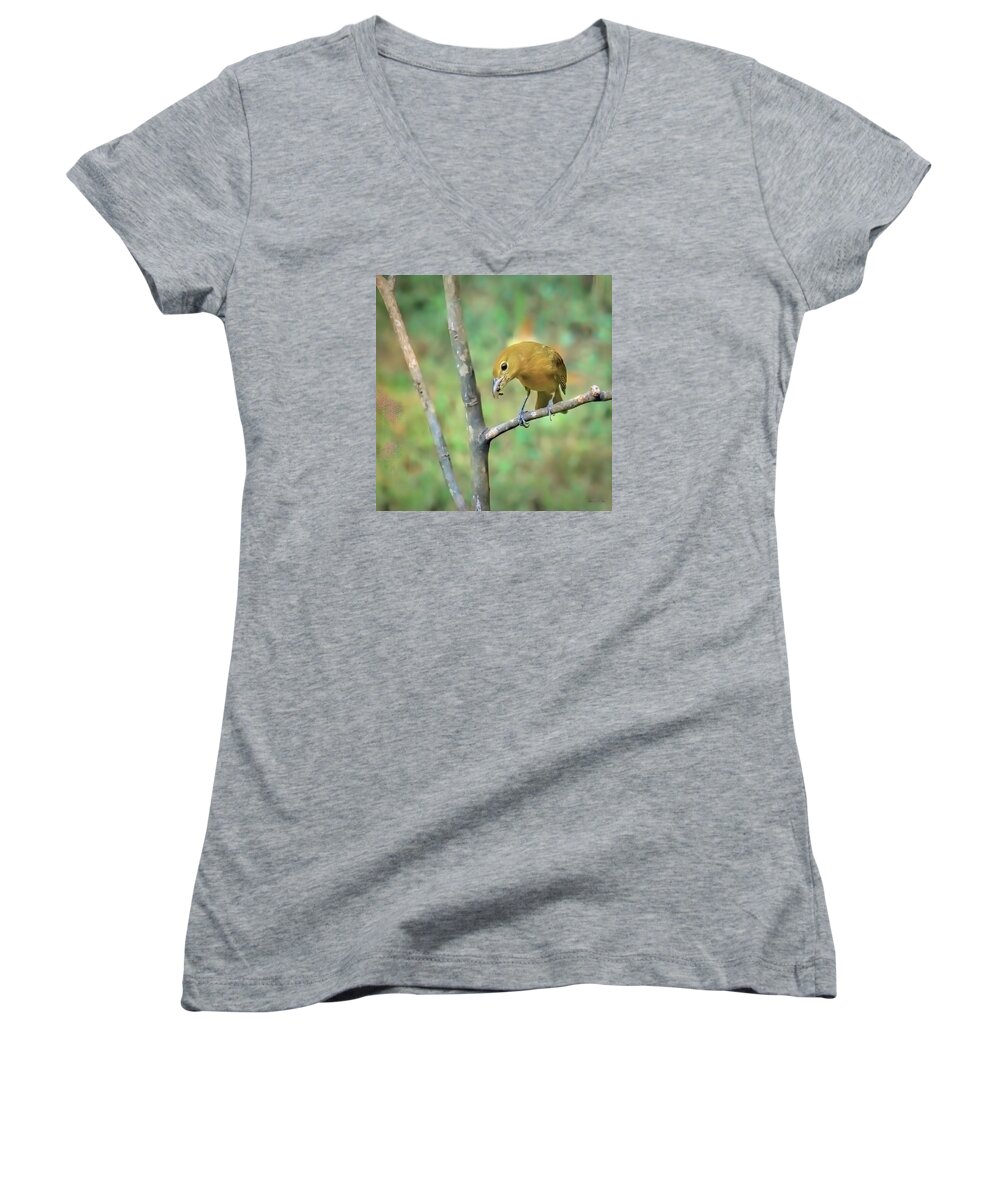 Female Summer Tanager With Yellow Jacket Women's V-Neck featuring the photograph Female Summer Tanager With Yellow Jacket by Bellesouth Studio