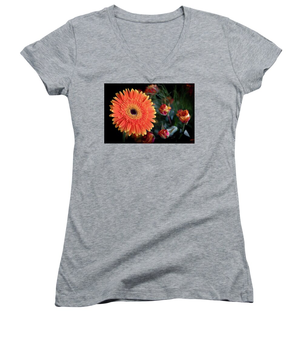 Daisies Women's V-Neck featuring the photograph Fresh beautiful orange daisy flower blossom. Blooming flower by Michalakis Ppalis