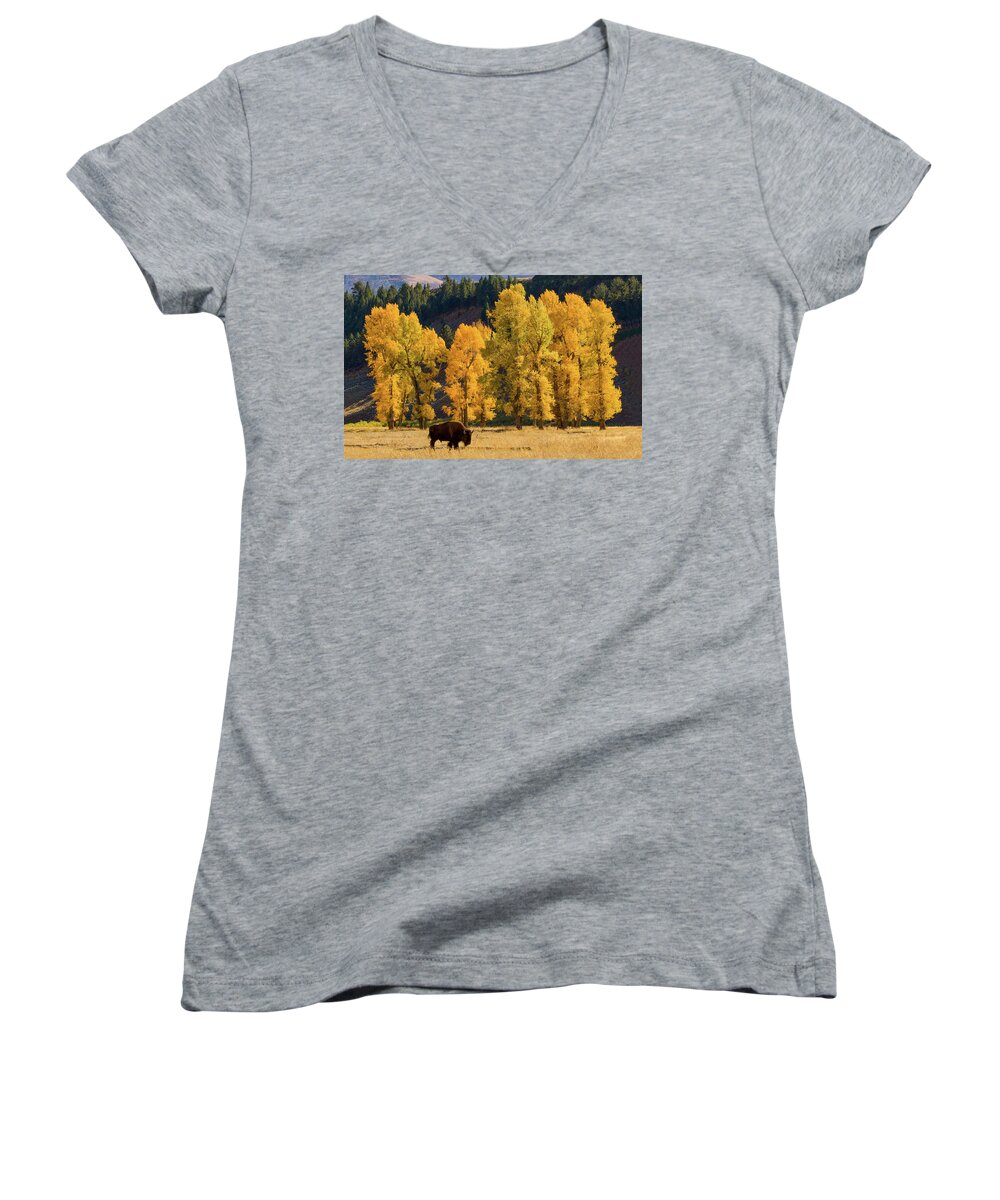 Cottonwood Women's V-Neck featuring the photograph Golden Cottonwoods by Kent Keller