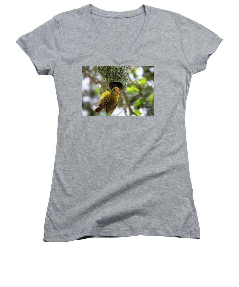 Cape Weaver Women's V-Neck featuring the photograph Greeting The Sun by Eva Lechner