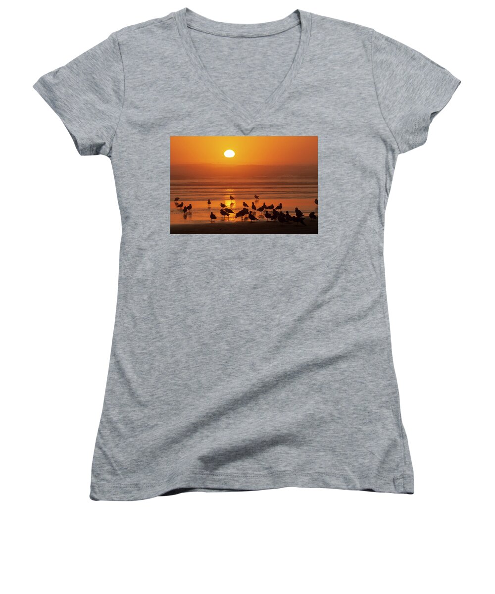 Animals Women's V-Neck featuring the photograph Gull Silhouettes on Sand by Robert Potts