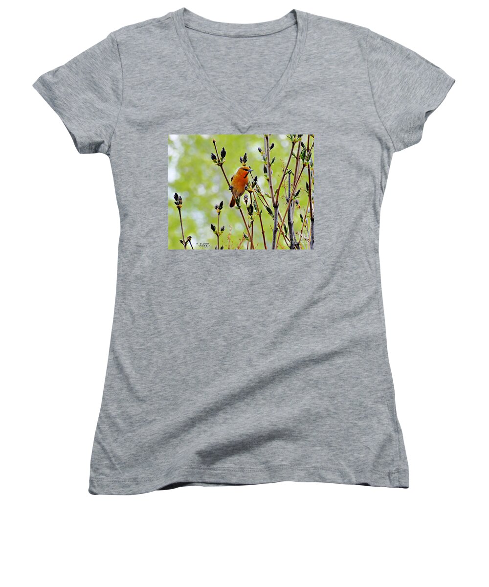 Bullock's Oriole Women's V-Neck featuring the photograph In the Lilacs #1 by Dorrene BrownButterfield