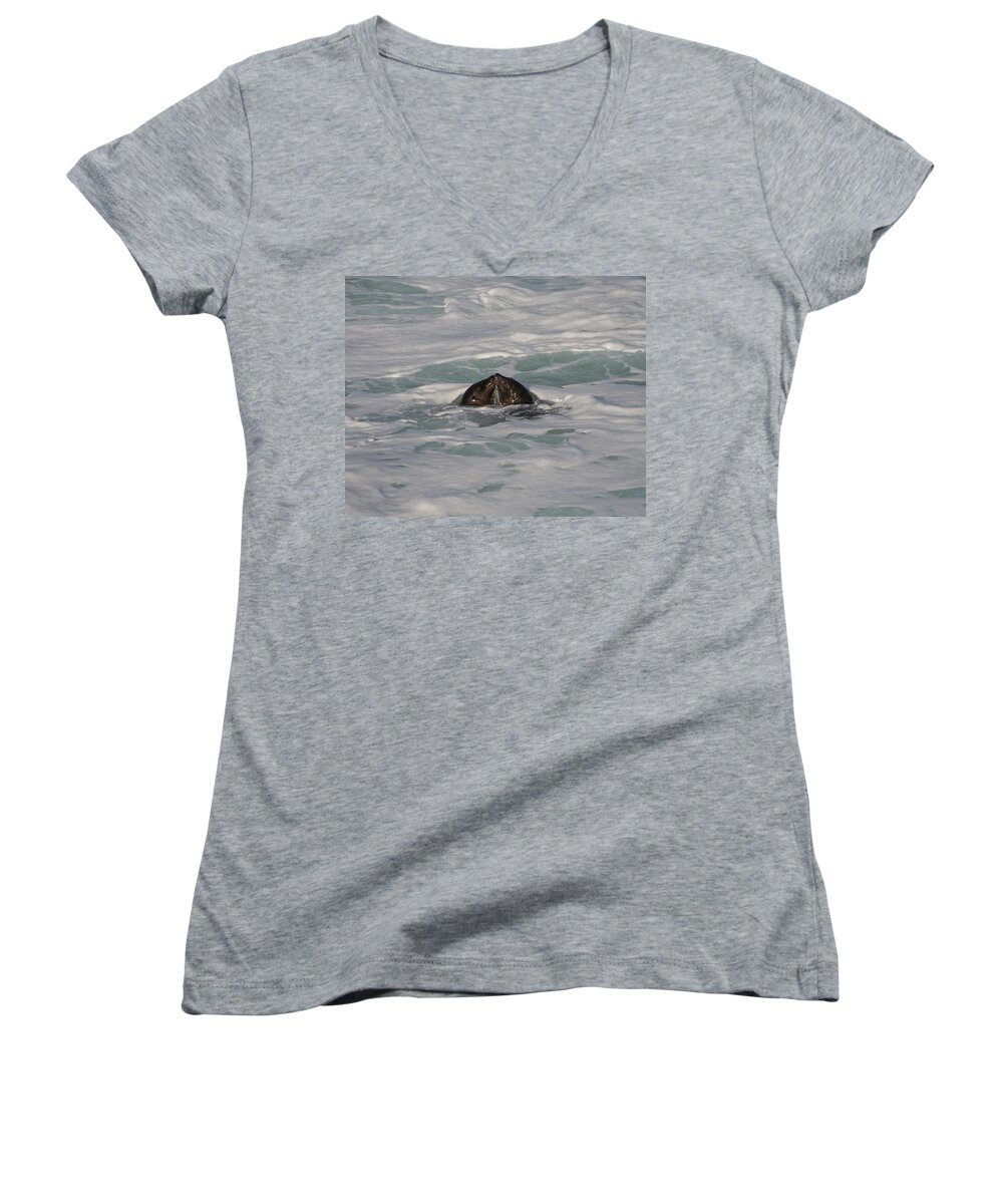 La Jolla Women's V-Neck featuring the photograph Kissing Sea Lions by Lee Kirchhevel