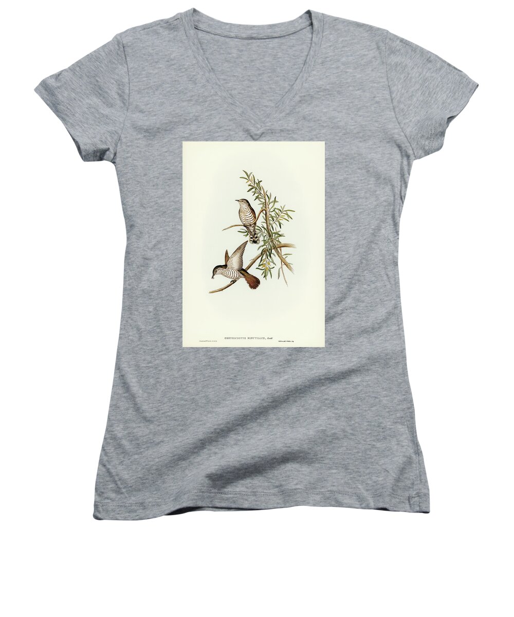 Little Cuckoo (chrysococcyx Minutillus) Illustrated By Elizab Women's V-Neck featuring the painting Little Cuckoo Chrysococcyx minutillus illustrated by Elizab by Artistic Rifki