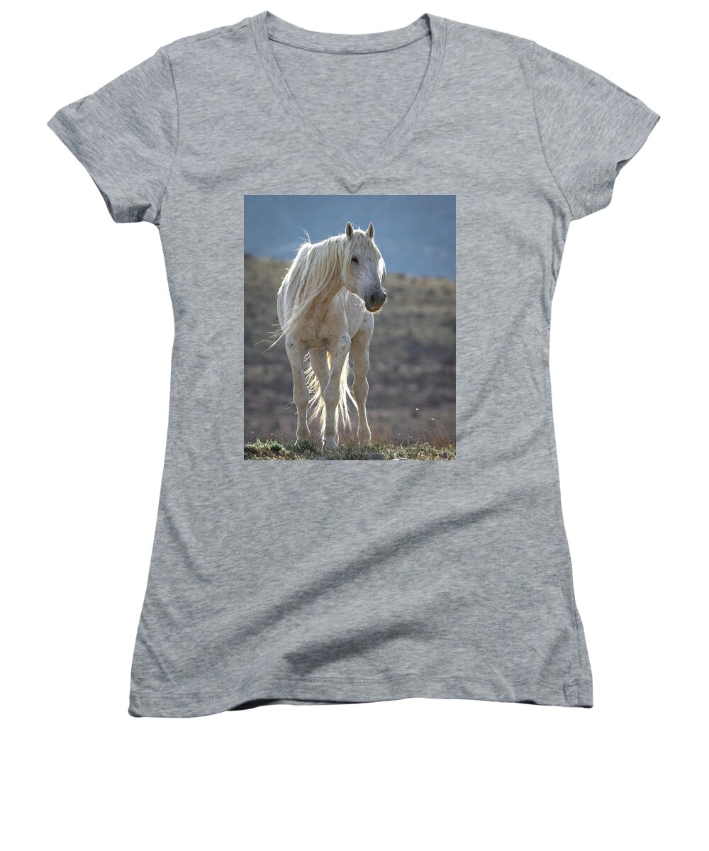 Wild Horses Women's V-Neck featuring the photograph Morning with the Old Man 3 by Mary Hone
