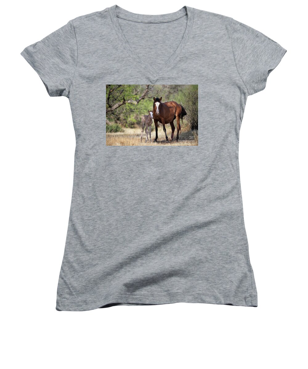 Cute Foal Women's V-Neck featuring the photograph Newborn by Shannon Hastings
