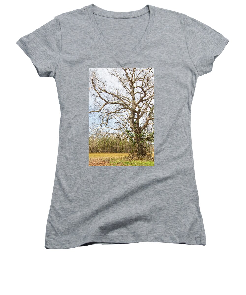 Oak Women's V-Neck featuring the photograph Oak Tree Along the Backroads - Pamlico County, North Carolina by Bob Decker