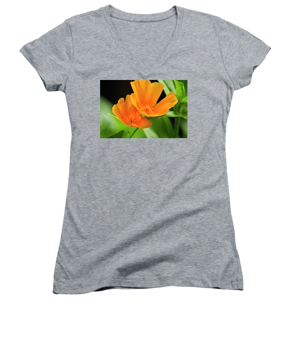 Poppies Women's V-Neck featuring the photograph Orange Poppies by Christina Rollo