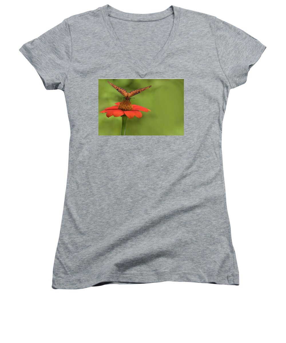 Butterfly Women's V-Neck featuring the photograph Orange You Hungry by Ree Reid