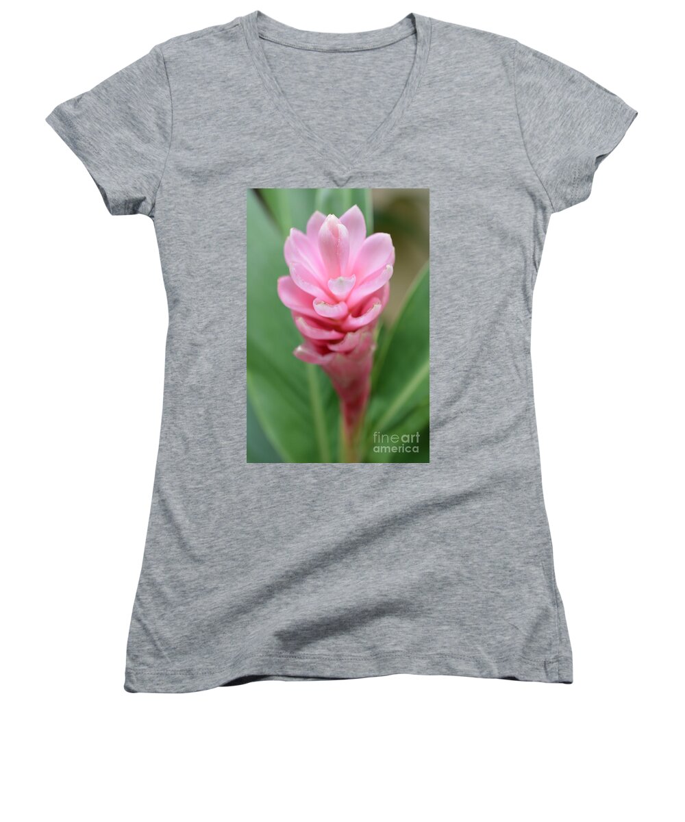 Pink Women's V-Neck featuring the photograph Pink Ginger Lily by Mini Arora
