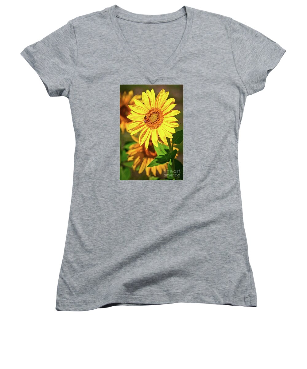 Pollination Women's V-Neck featuring the photograph Pollination, Bee, Sunflower, Insect, Sunflower Art, by David Millenheft