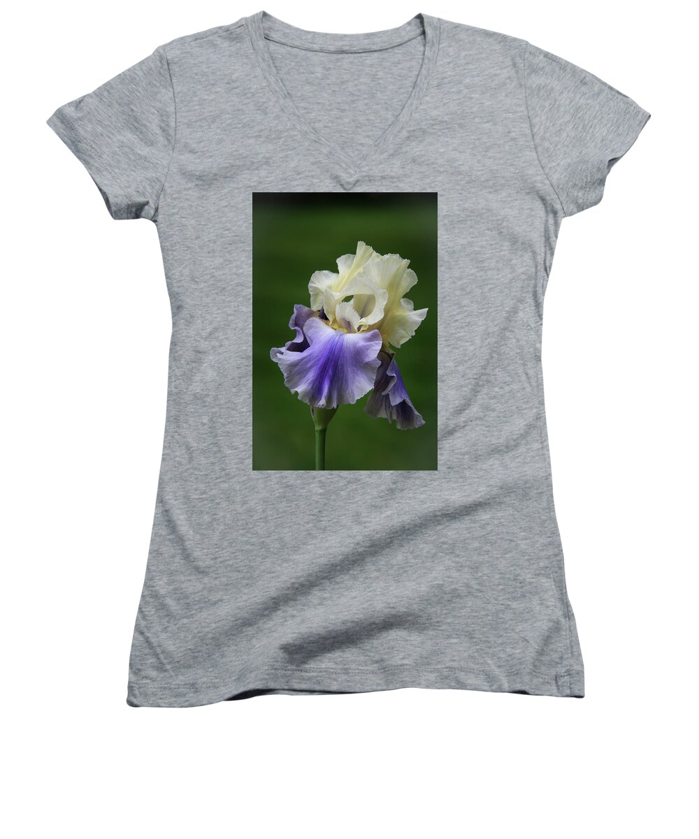 Bearded Women's V-Neck featuring the photograph Purple Cream Bearded Iris by Patti Deters