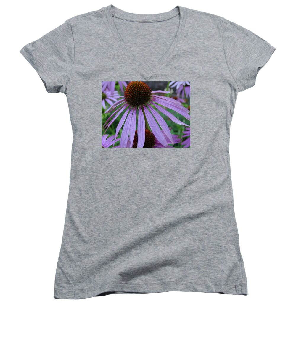 Purple Cone Flower Women's V-Neck featuring the photograph Purple by Mary Halpin
