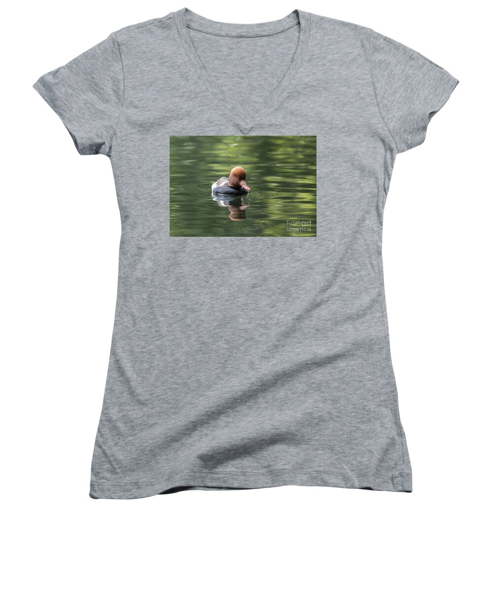Red-crested Pochard Women's V-Neck featuring the photograph Red-Crested Pochard Male by Eva Lechner