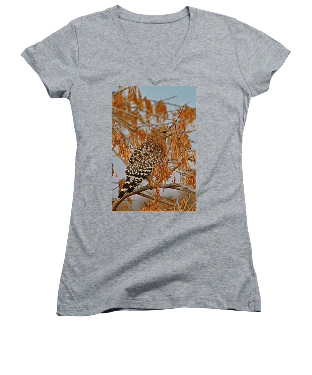 Red-shouldered Hawk Women's V-Neck featuring the photograph Red-Shouldered Hawk - Sacramento NWR by Amazing Action Photo Video