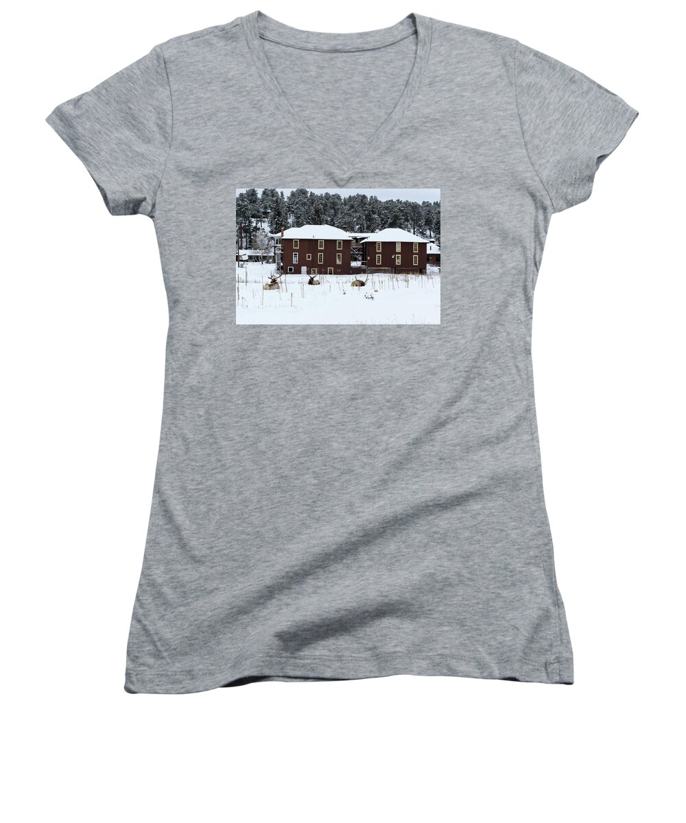 Elk Women's V-Neck featuring the photograph Resting Elk - 9131 by Jerry Owens