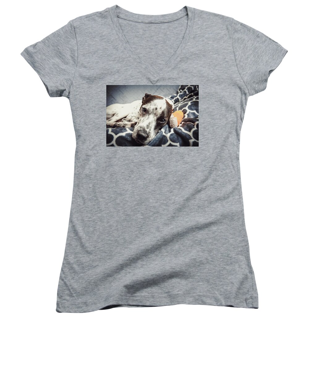 Anxious Women's V-Neck featuring the photograph Sad Abbey with an Orange Bandage on Her Paw by Jeanette Fellows