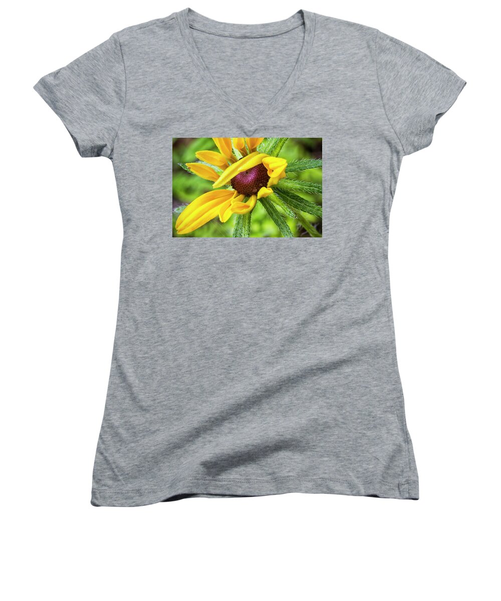 Blackeyed Women's V-Neck featuring the photograph Shy Susan of the Croatan by Bob Decker