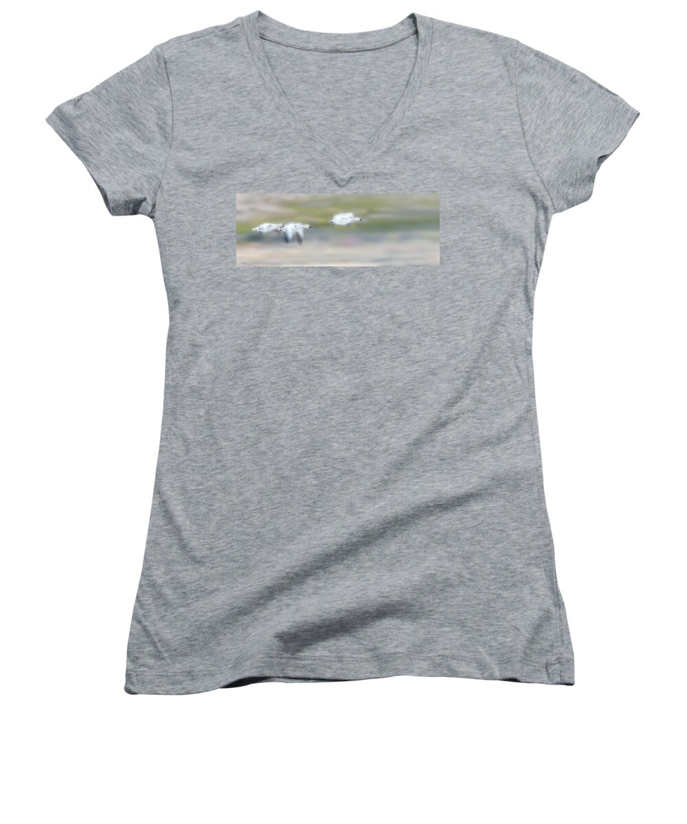 Snow Geese Women's V-Neck featuring the photograph Snow Geese Flight by Judi Dressler
