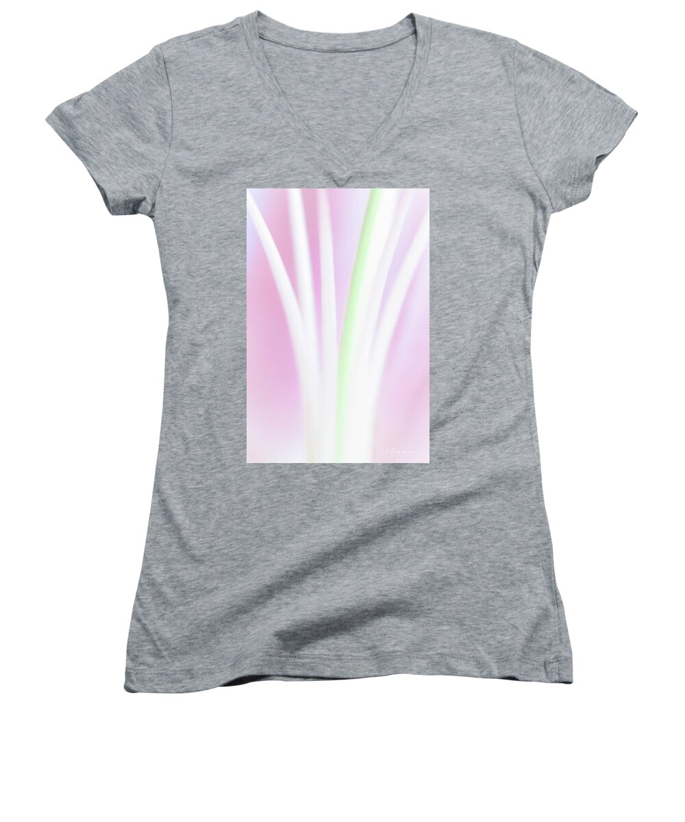Color Women's V-Neck featuring the photograph Stems by Silvia Marcoschamer