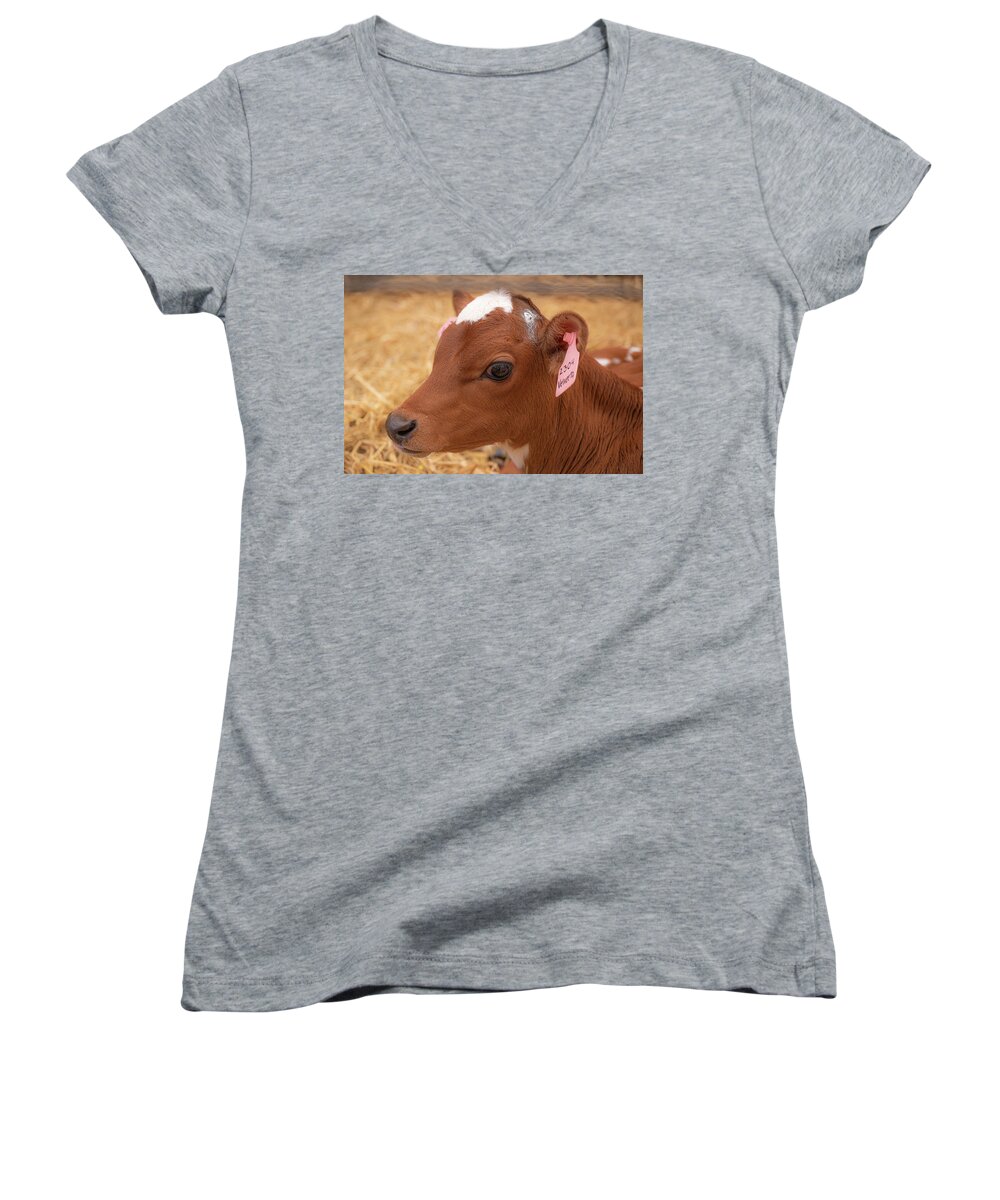 Lawrence Women's V-Neck featuring the photograph The Beauty Shot by Kristopher Schoenleber