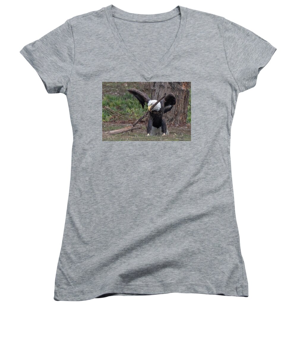 Wildlife Women's V-Neck featuring the photograph Tug of War by Laura Macky
