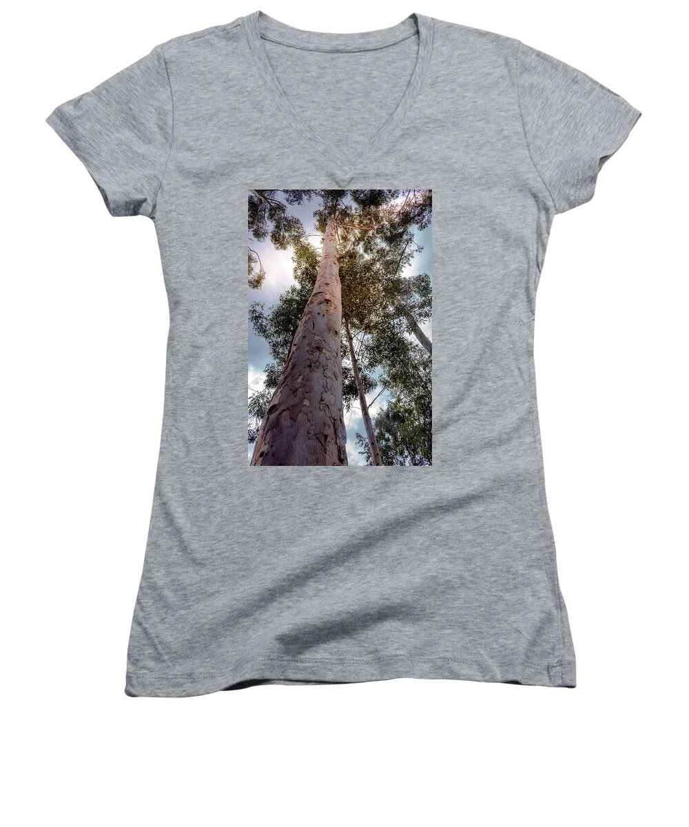 Eucalyptus Women's V-Neck featuring the photograph Under the Eucalyptus Trees by Alison Frank