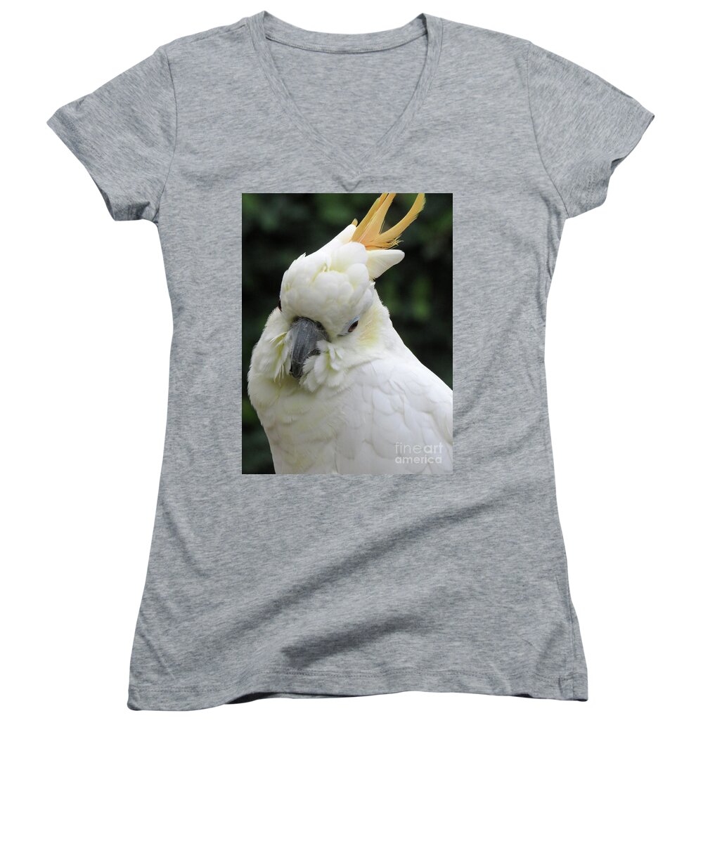 Bird Women's V-Neck featuring the photograph White One by Mary Mikawoz