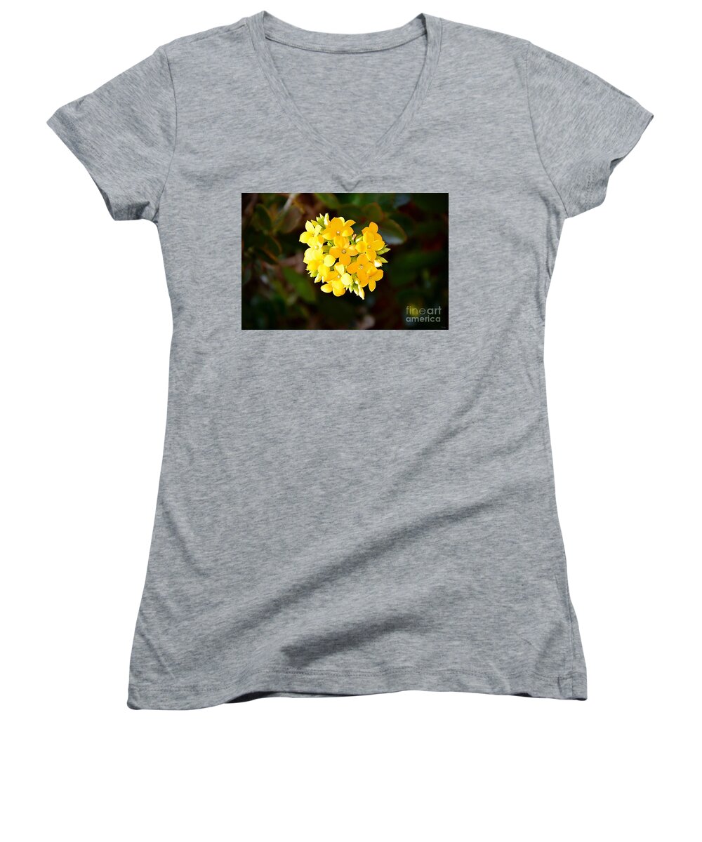Yellow Flowers Women's V-Neck featuring the photograph Yellow Allegria by Ramona Matei