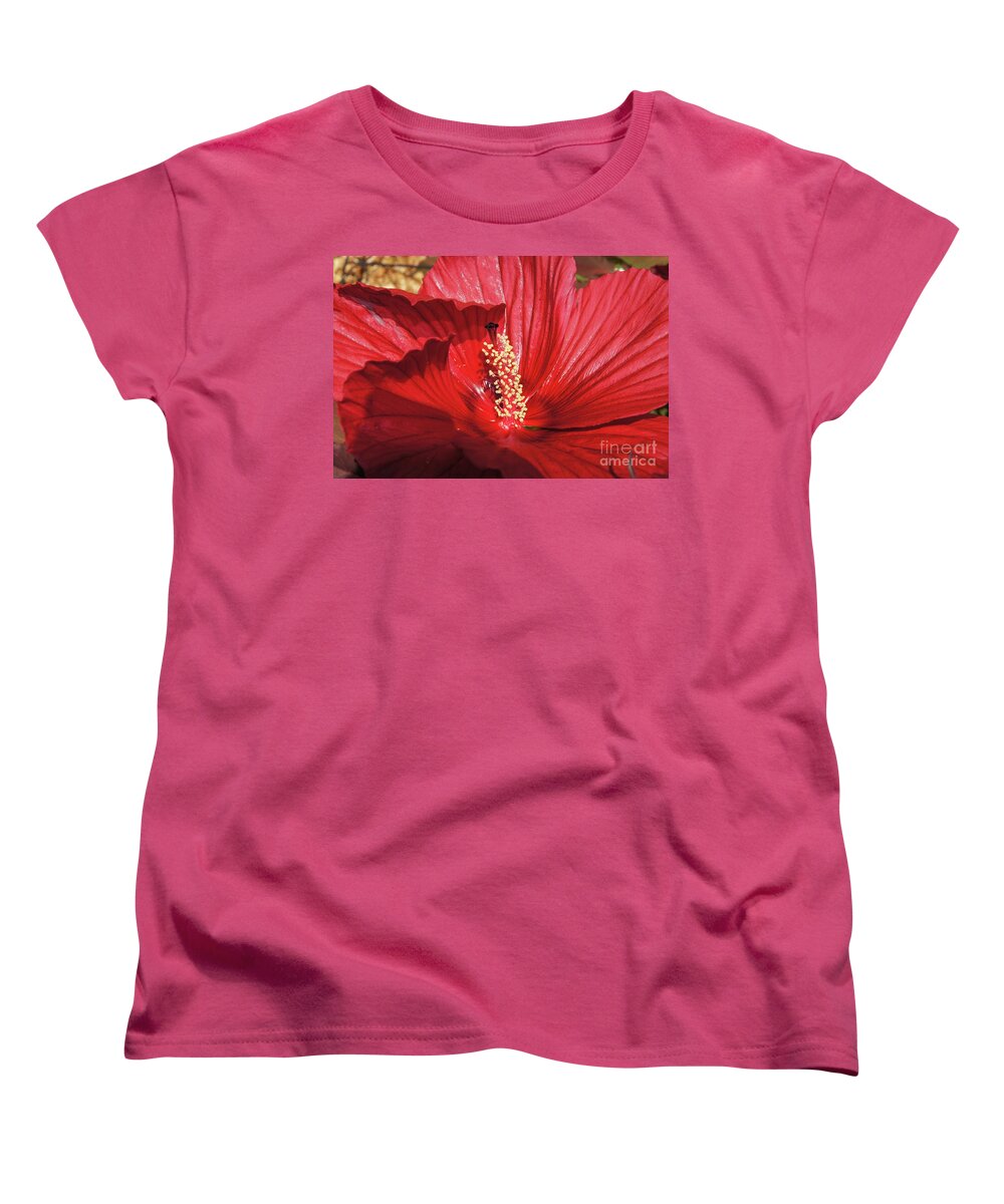 Hibiscus Women's T-Shirt (Standard Fit) featuring the photograph Midnight Marvel by Megan Cohen