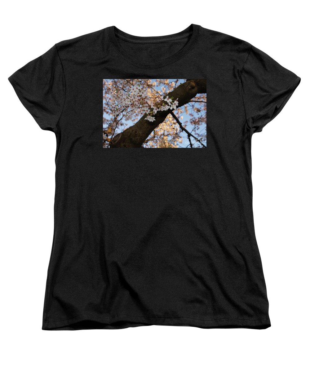 Cherry Blossoms Women's T-Shirt (Standard Fit) featuring the photograph Cherry Blossoms by Megan Cohen