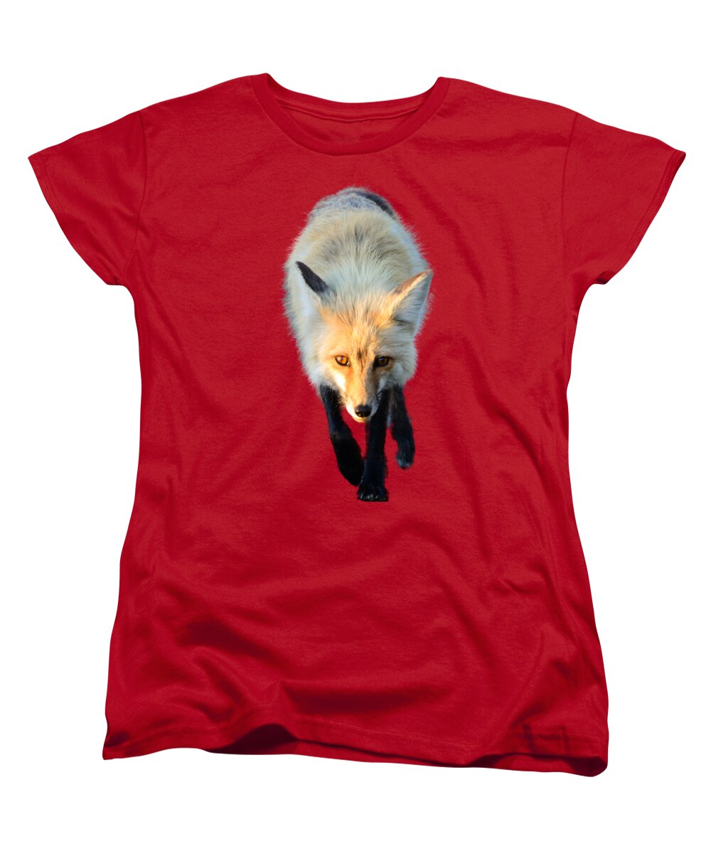 Red Fox Women's T-Shirt (Standard Fit) featuring the photograph Red Fox Shirt by Greg Norrell