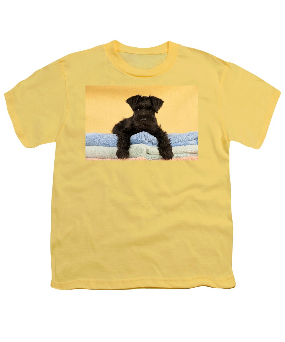 Dog Youth T-Shirt featuring the photograph Miniature Schnauzer Puppy by John Daniels