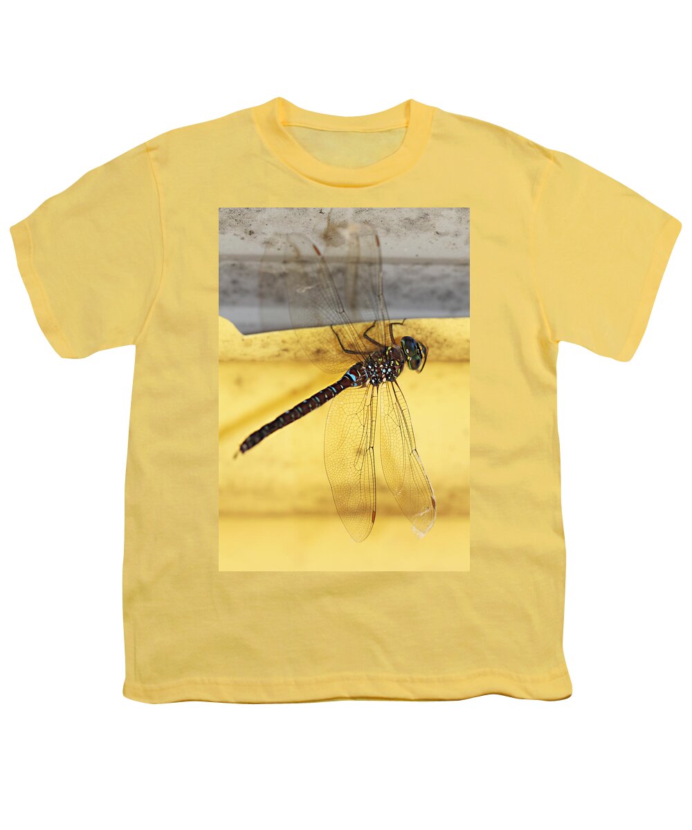 Dragonfly Youth T-Shirt featuring the photograph Dragonfly Web by Melanie Lankford Photography