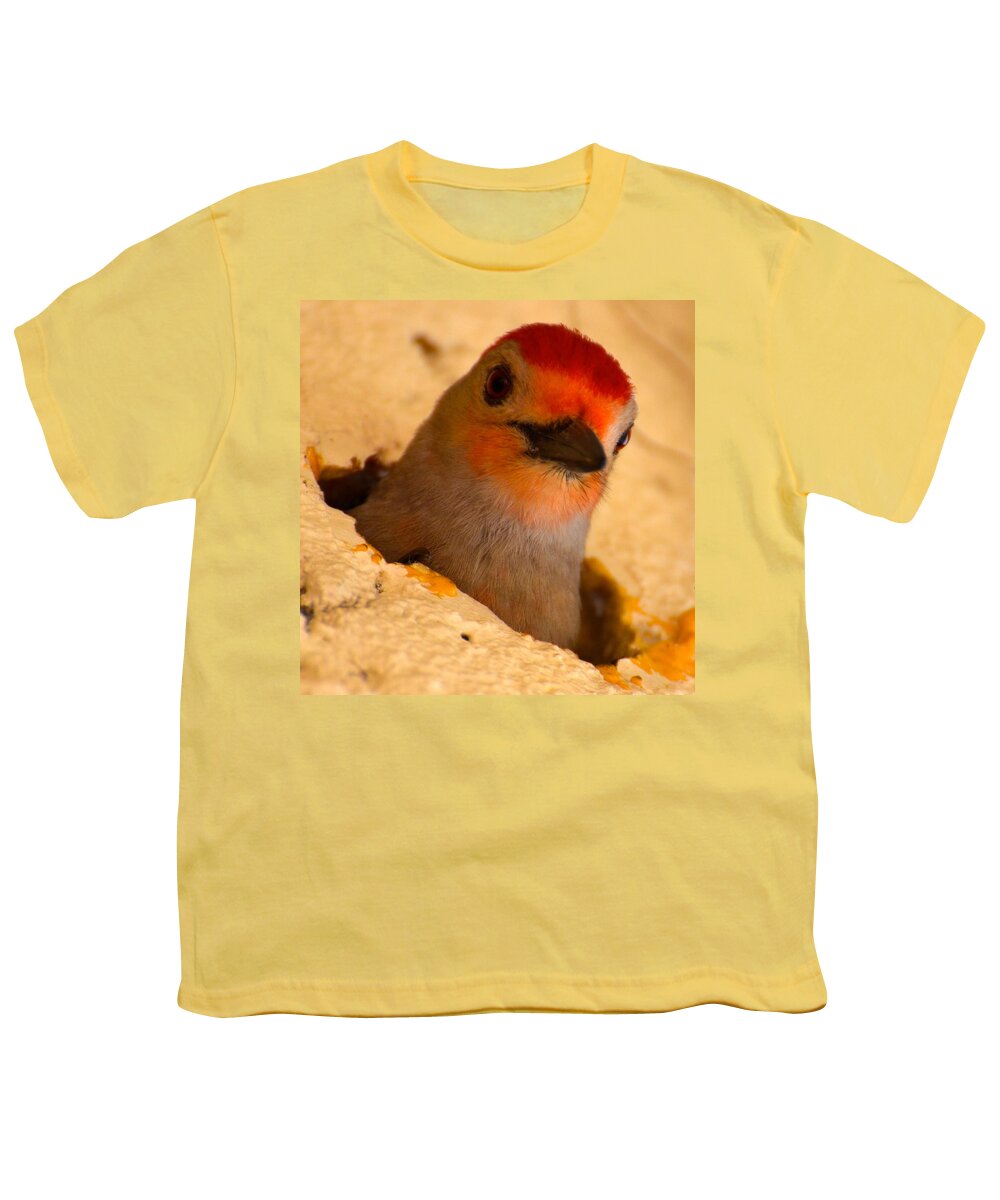 Red-bellied Woodpecker Youth T-Shirt featuring the photograph Hole in the wall by AnnaJo Vahle