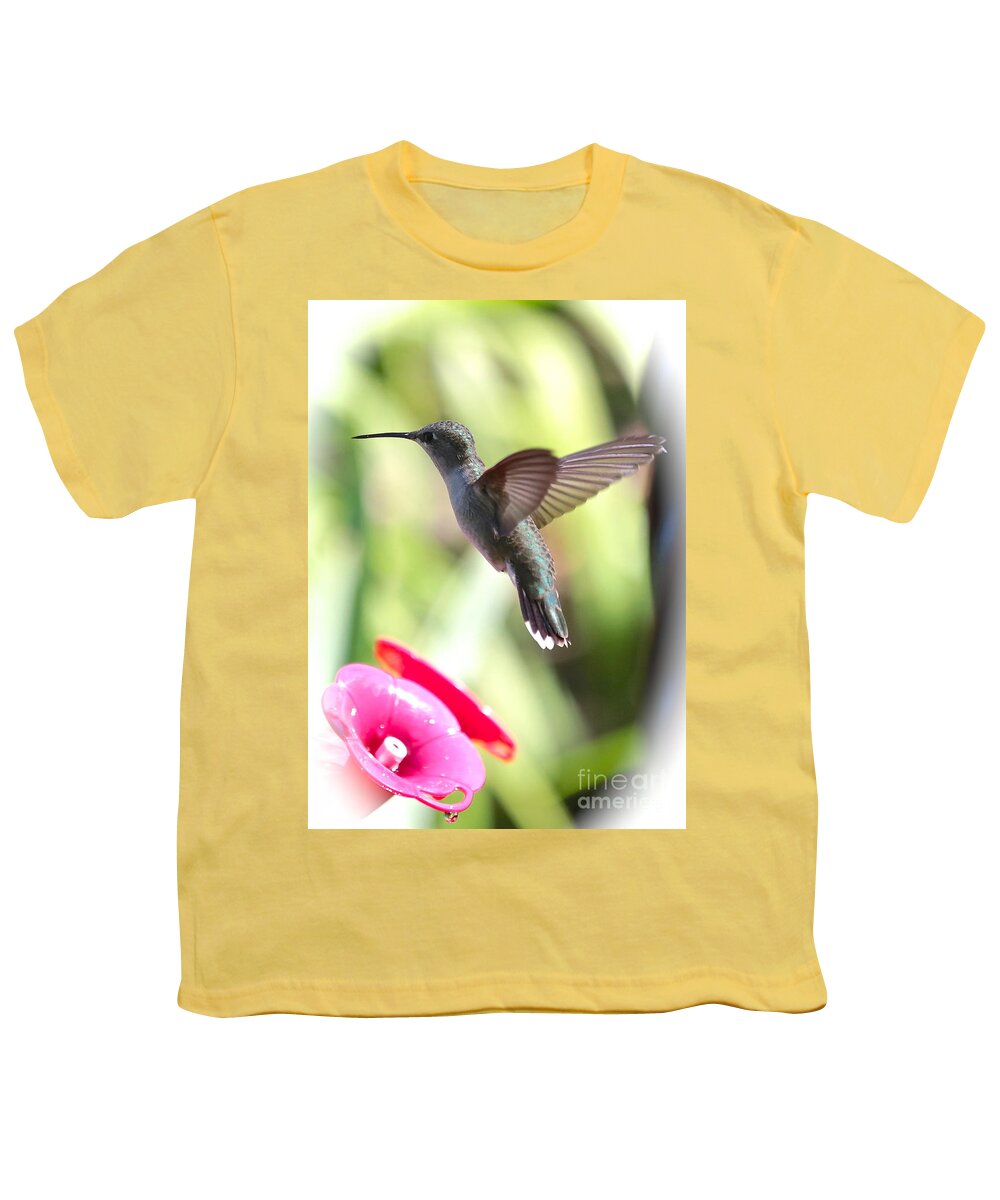 Hummingbird Youth T-Shirt featuring the photograph Hummingbird with Vignette by Carol Groenen