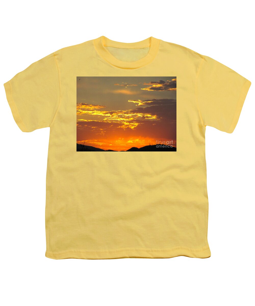 Beautiful Sunset Youth T-Shirt featuring the photograph With Love from Sparks NV by Phyllis Kaltenbach