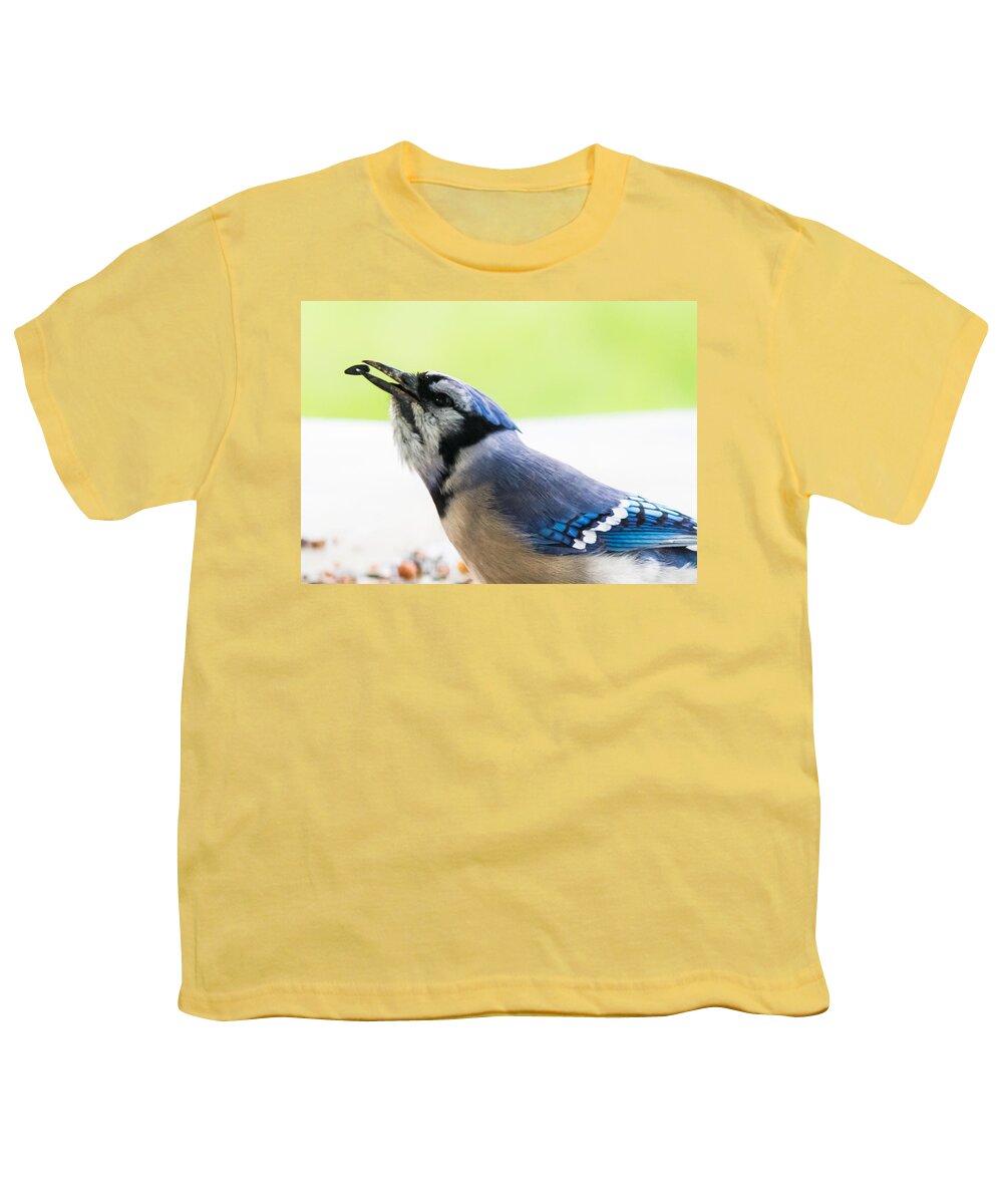 Blue Jay Youth T-Shirt featuring the photograph Blue Jay  #1 by Holden The Moment
