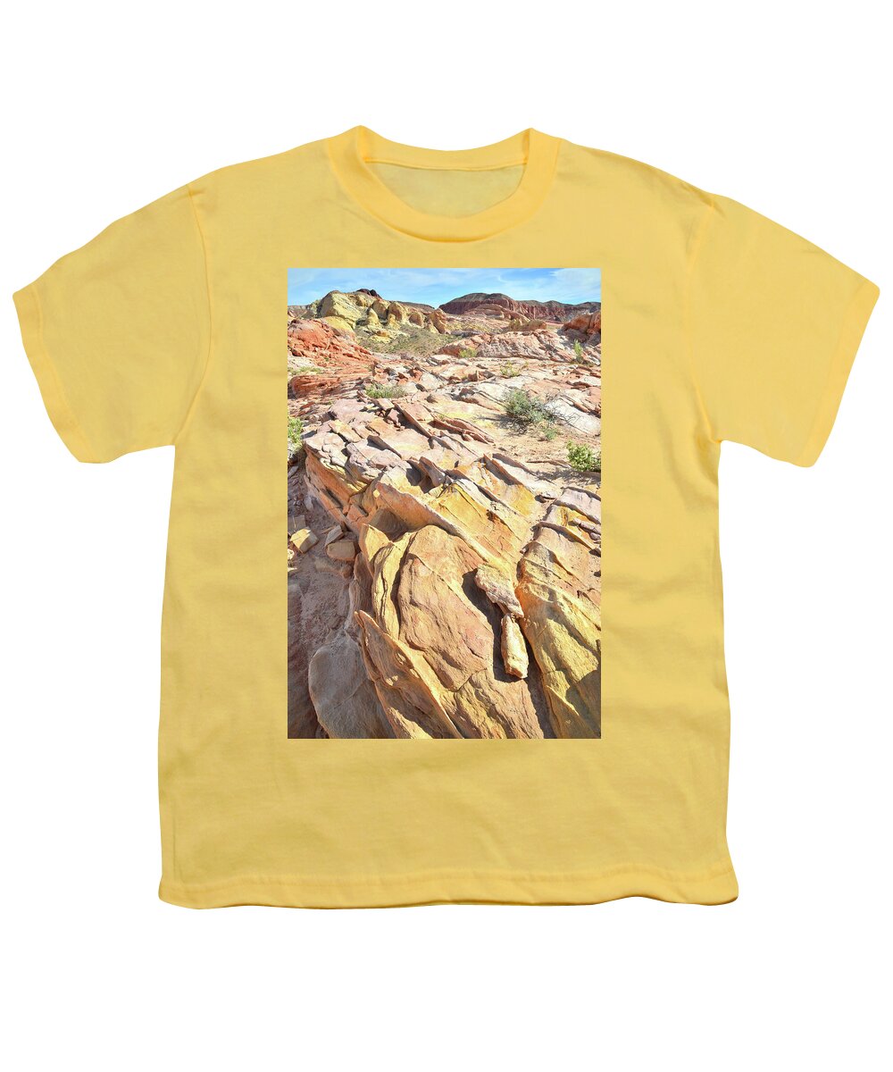 Valley Of Fire State Park Youth T-Shirt featuring the photograph Gold Vein in Valley of Fire #1 by Ray Mathis