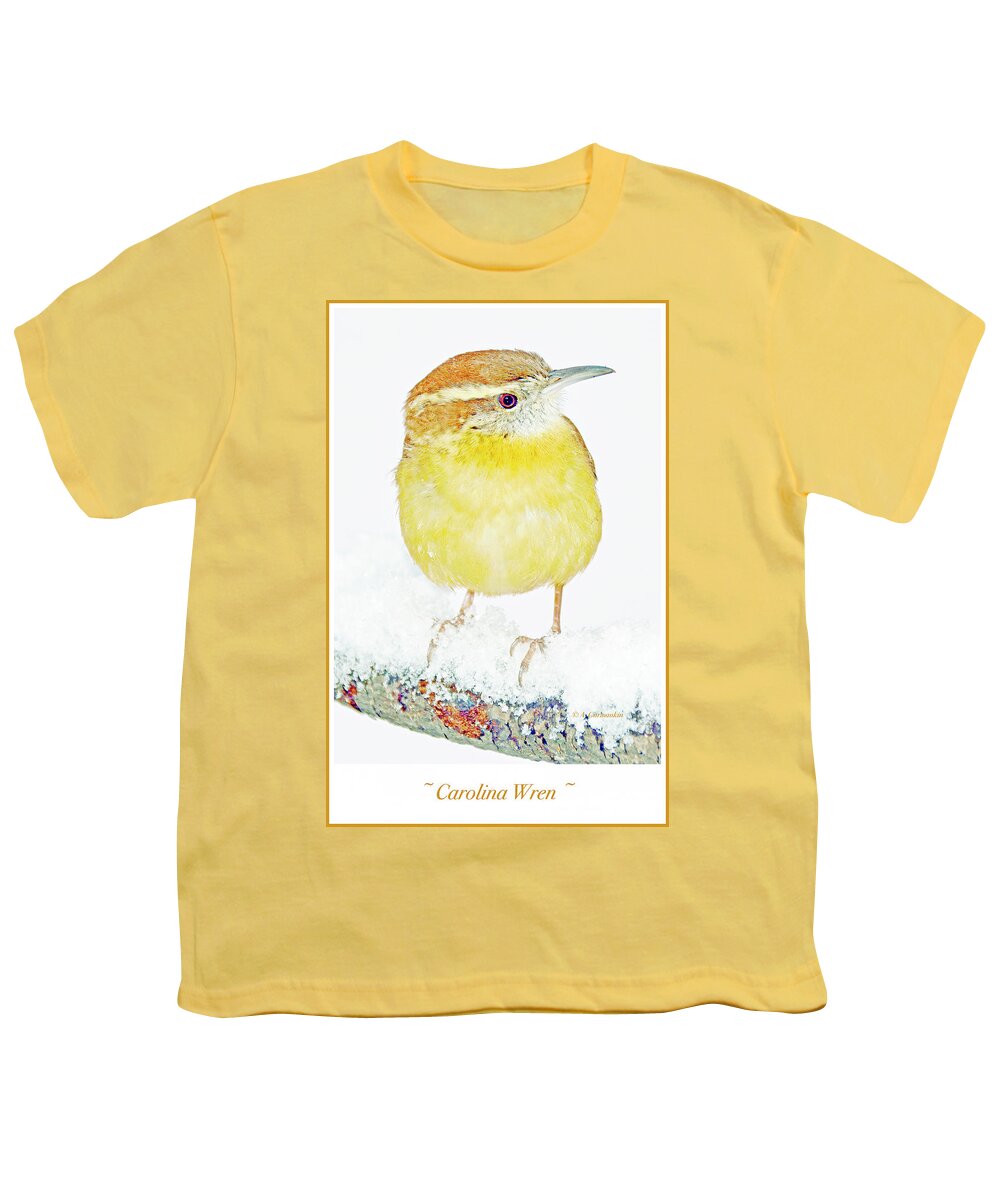 Songbird Youth T-Shirt featuring the photograph Carolina Wren in Winter #3 by A Macarthur Gurmankin