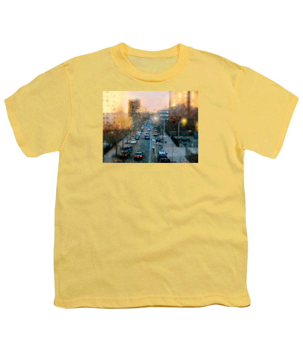 Harlem Youth T-Shirt featuring the photograph Autumn in Harlem by Diana Angstadt
