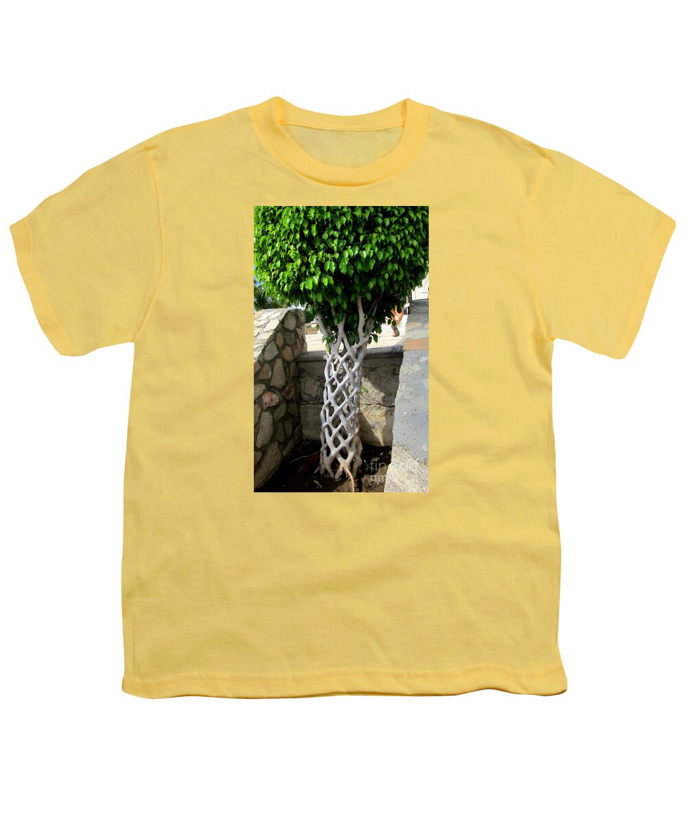 Tree Youth T-Shirt featuring the photograph Braided Tree Trunk by Randall Weidner