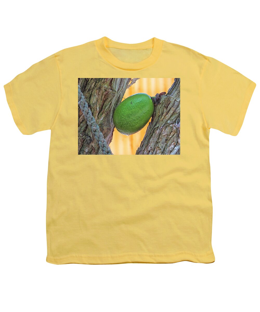 Calabash Youth T-Shirt featuring the photograph Calabash Fruit by Bill Barber