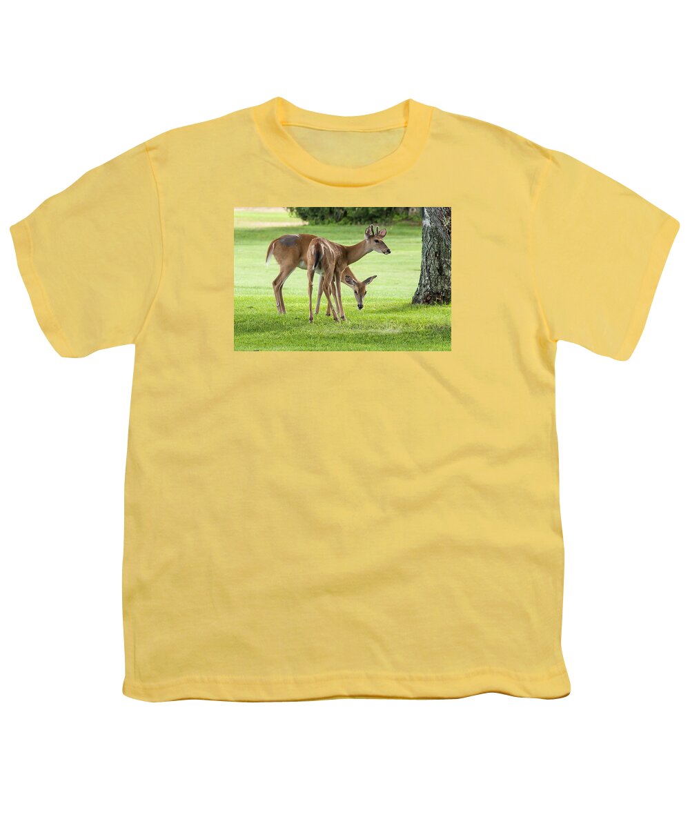 Deer Youth T-Shirt featuring the photograph Double Deer by Cathy Kovarik